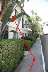 walking to brian's apartment